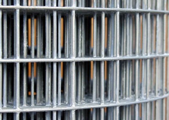 50X50 لفات شبكة الأسلاك الملحومة المجلفنة 6 قدم سياج أسلاك لفة إثبات التآكل