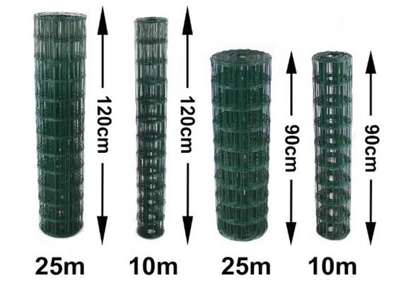 مقاومة للتآكل PVC مغلفة الأسلاك المطاطية الشبكة مع 0.5mm-6.0mm قطر الأسلاك